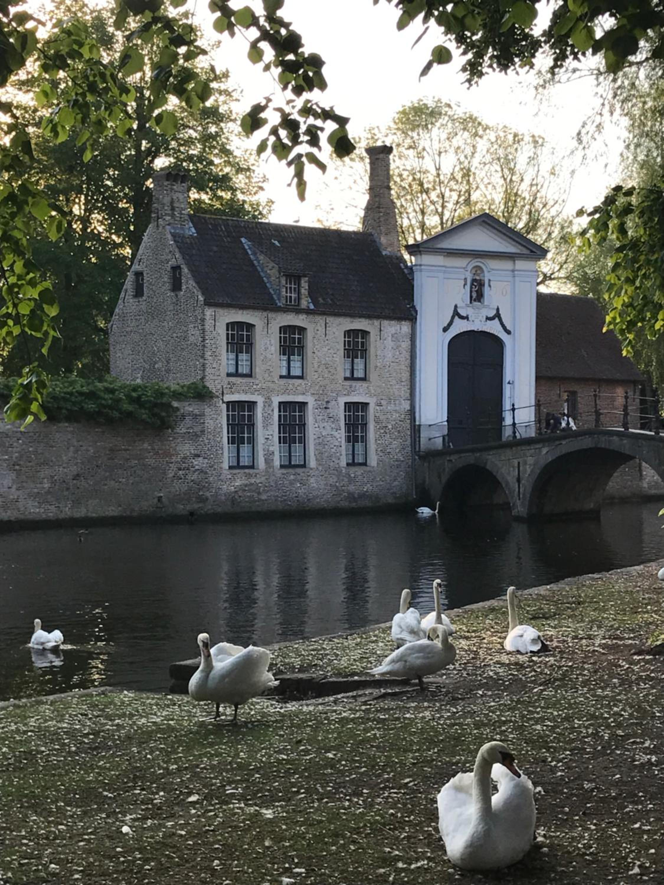 The Bank 1869 - Unique guestrooms in the historic center of Bruges