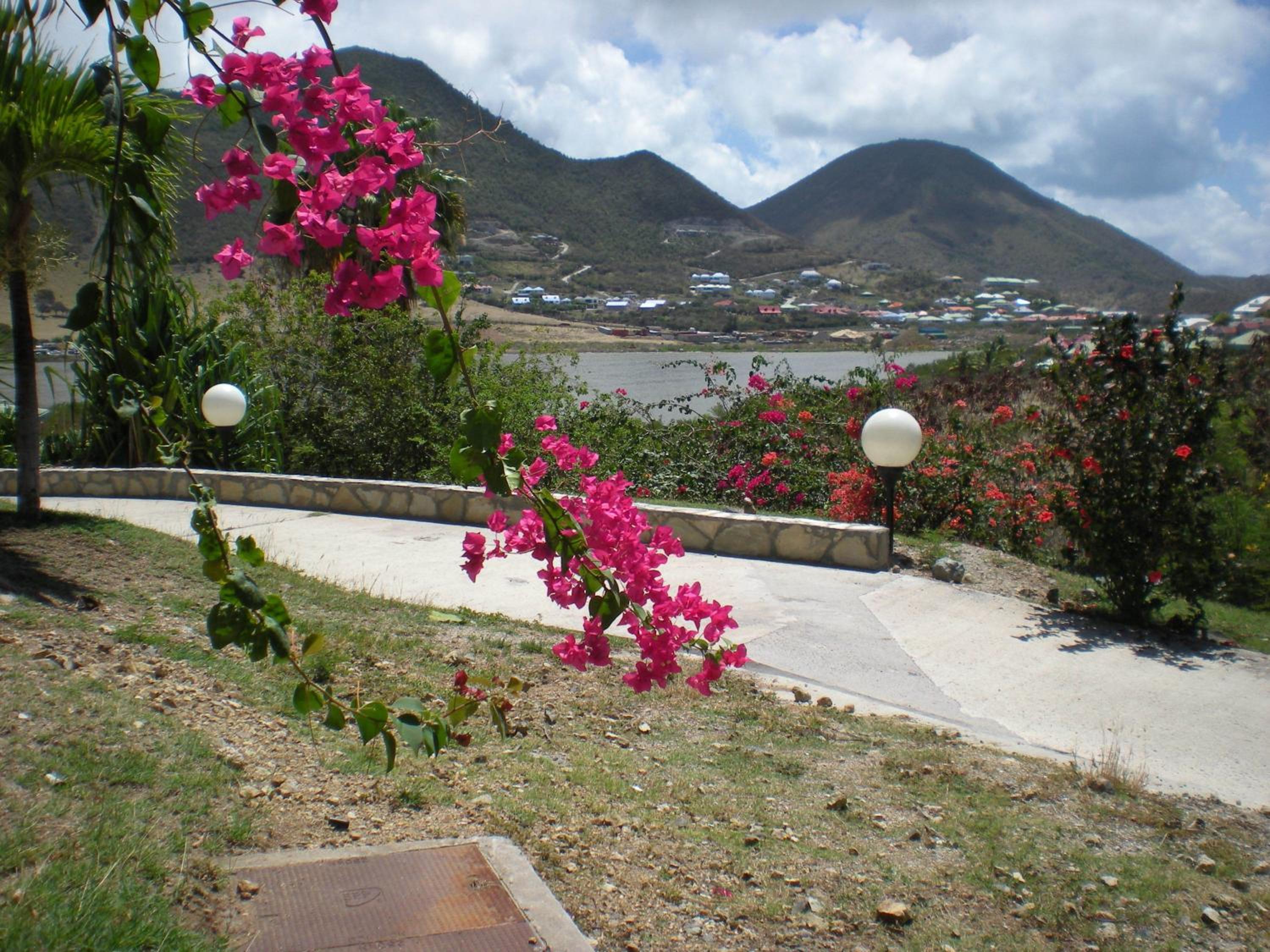 Photo 32