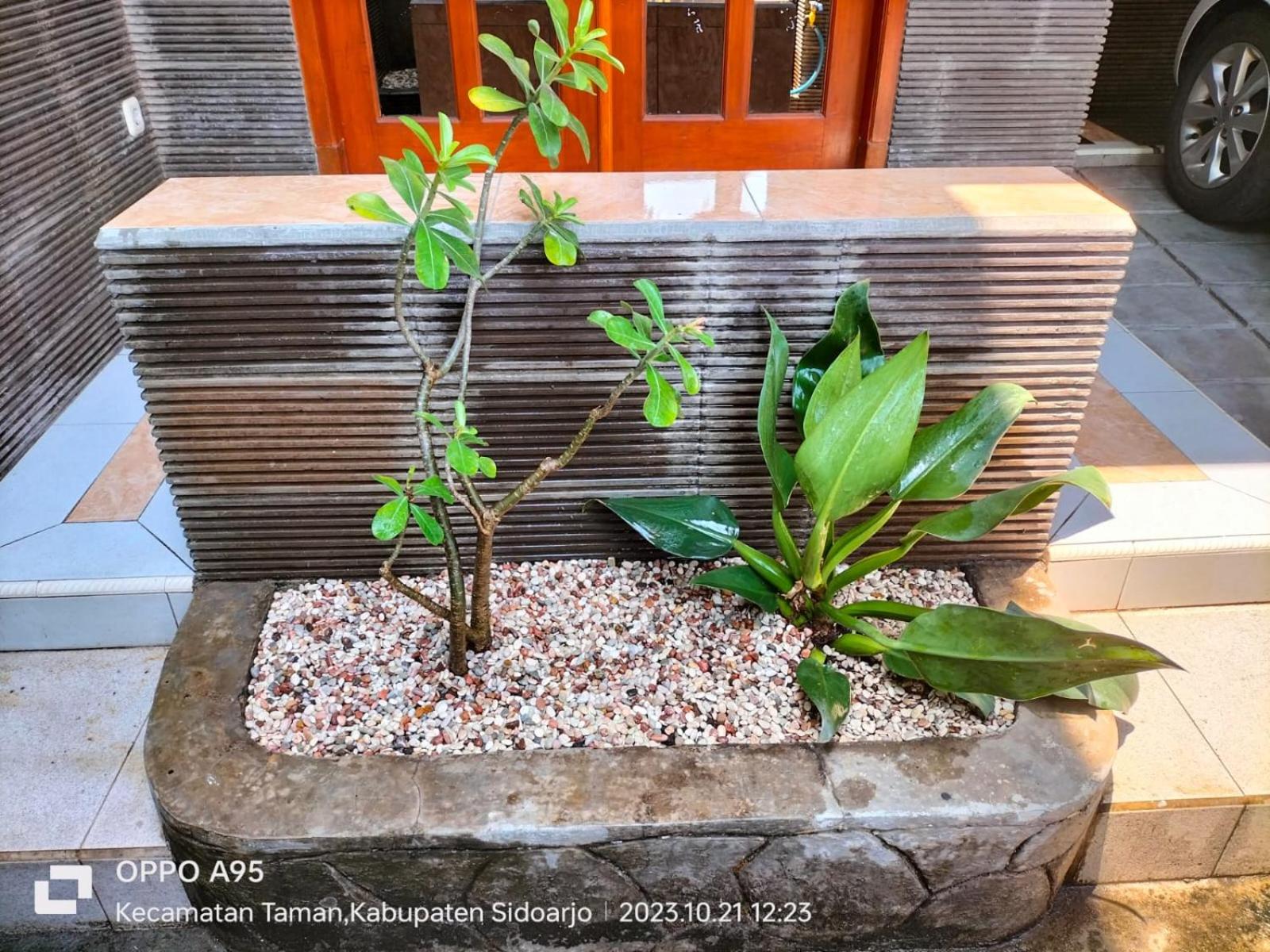 Bito Homestay