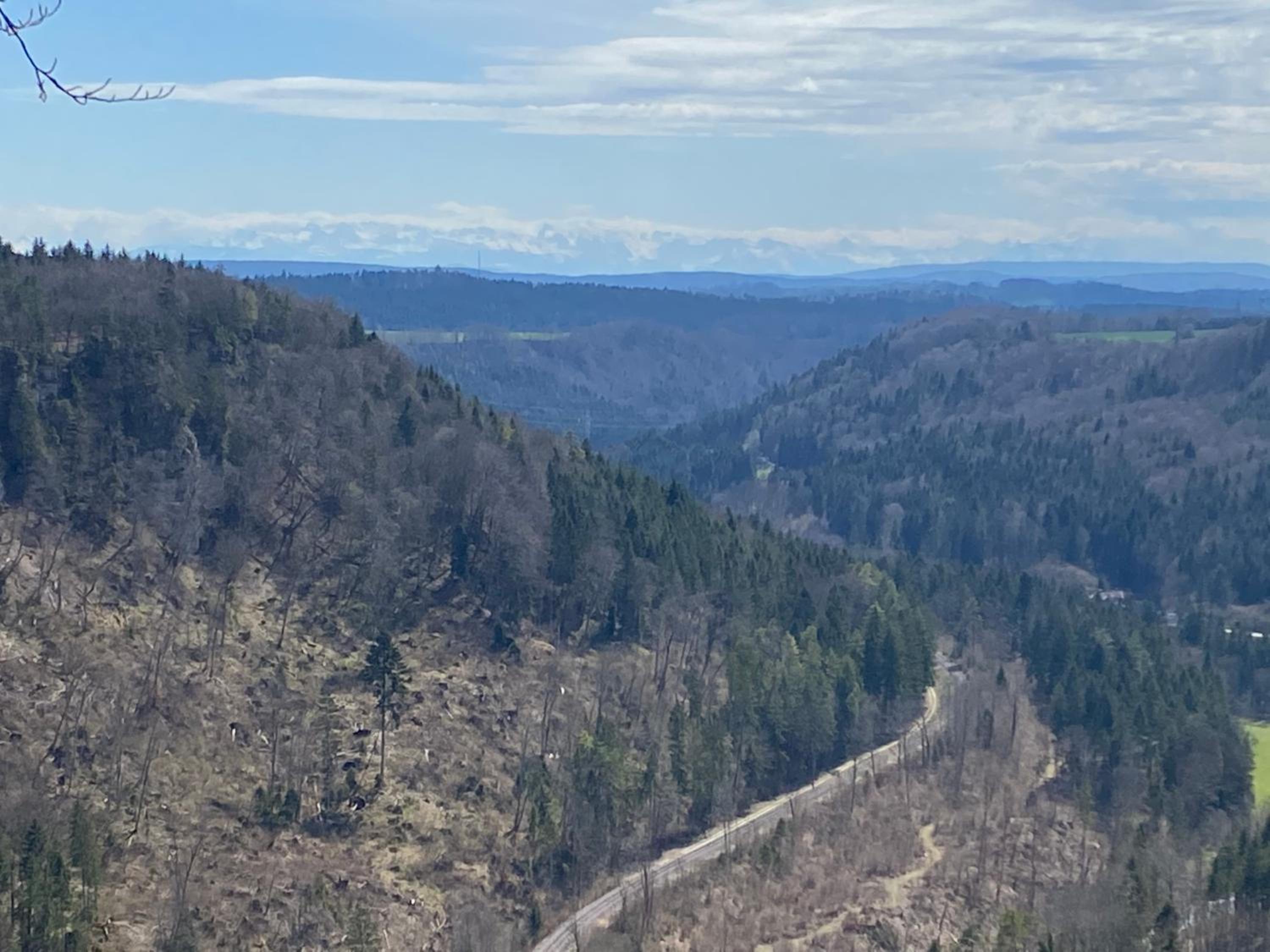 other