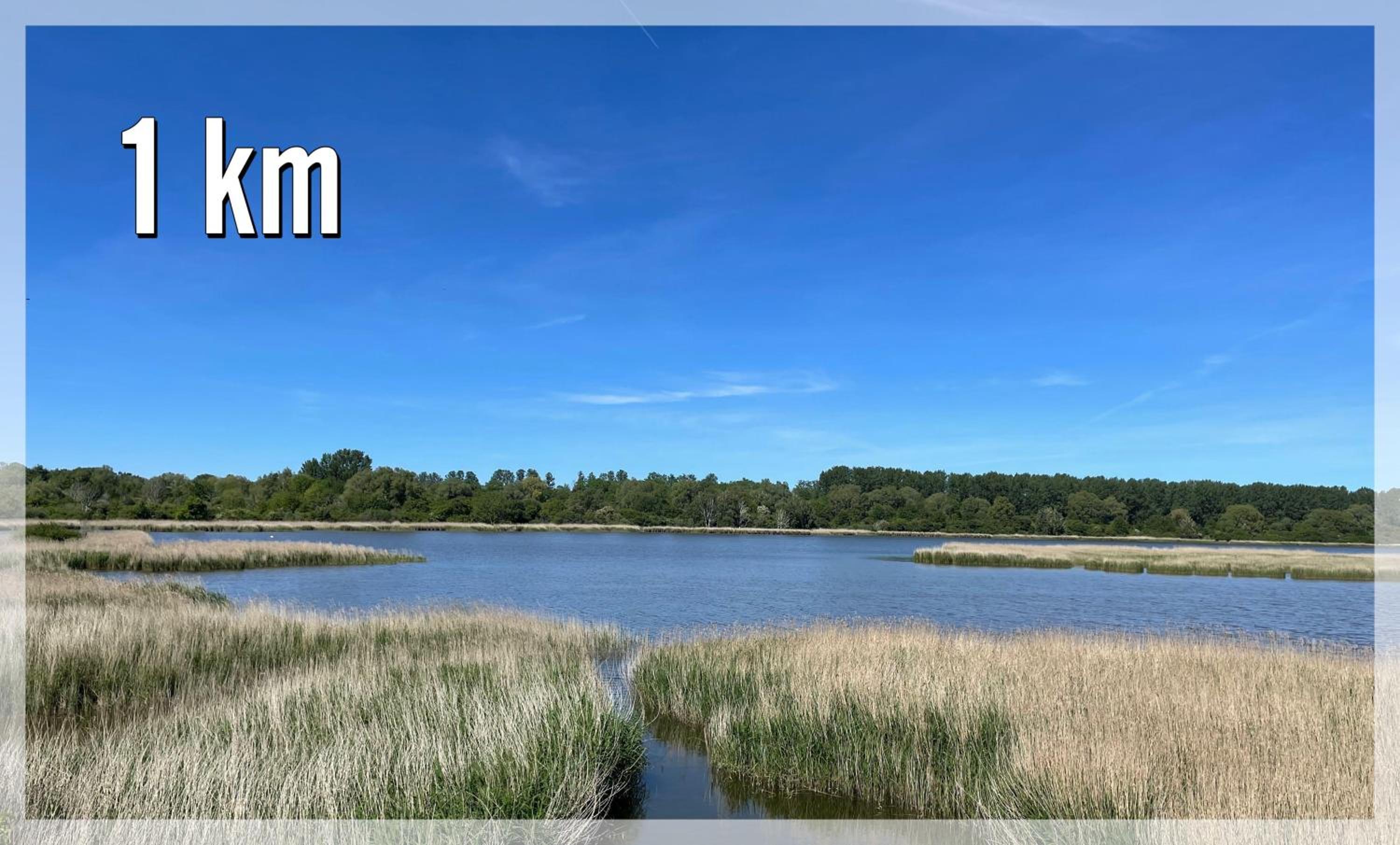 Dat-Klinkerhus-auf-Ruegen-XXL-Urlaubsparadies-nahe-Ostseestrand-Nationalpark-fuer-17-Gaeste