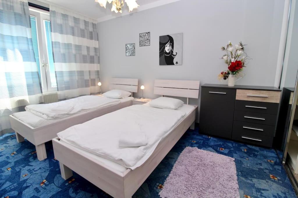 Cozy Apartment FREE parking