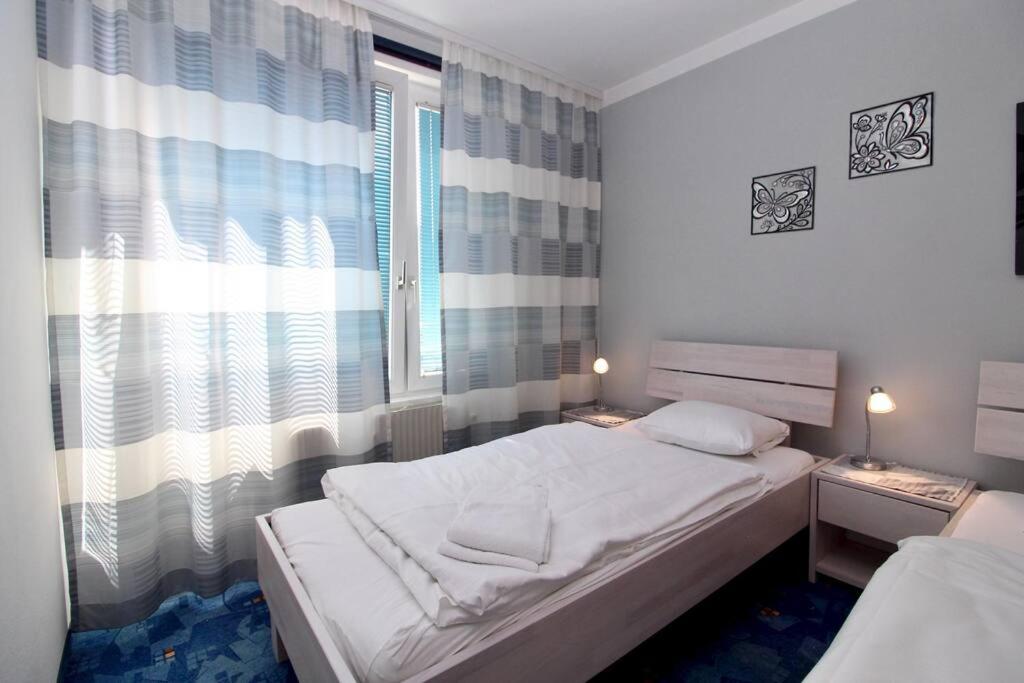 Cozy Apartment FREE parking