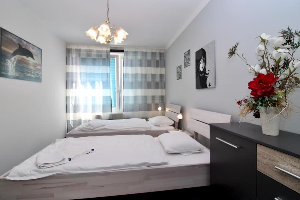 Cozy Apartment FREE parking