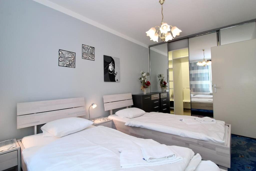 Cozy Apartment FREE parking