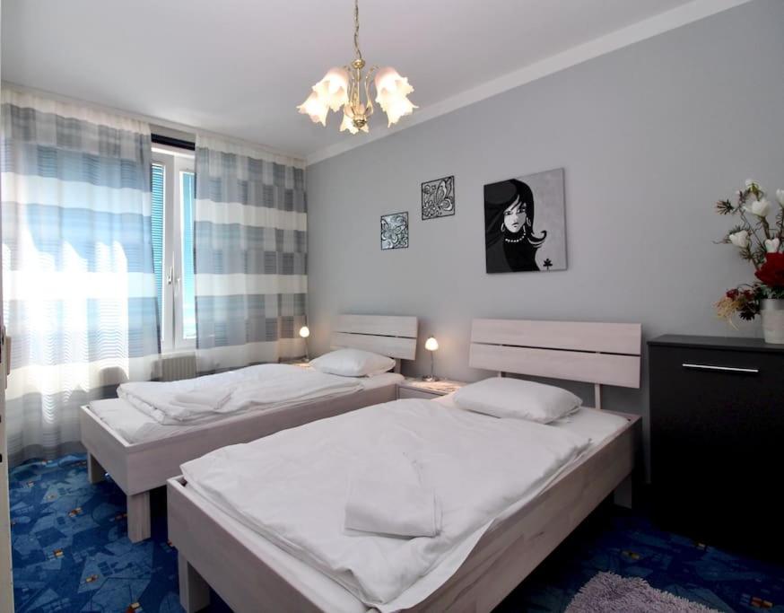 Cozy Apartment FREE parking