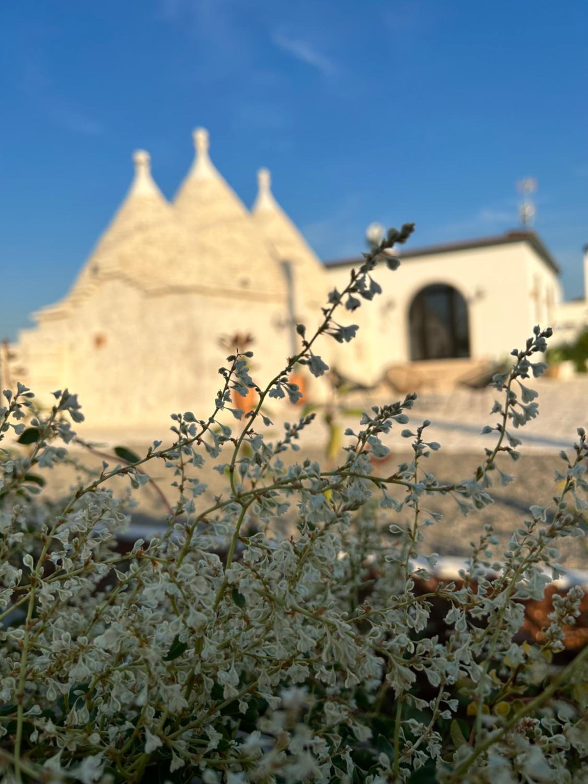 Trulli Enjoy