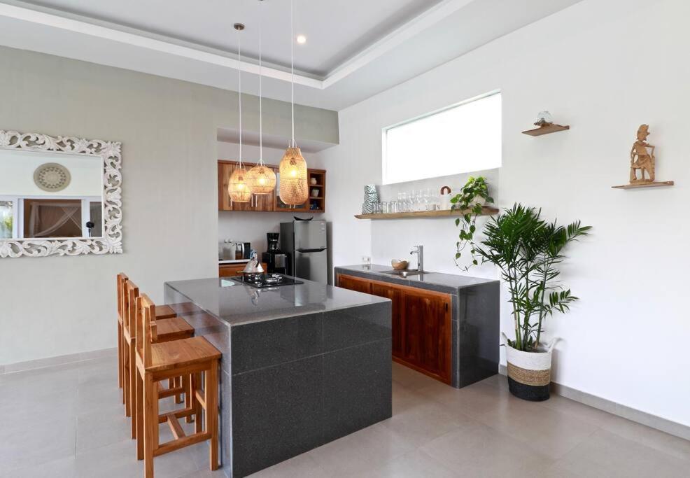 Wonderful designer villa huge garden near Samadi view 2