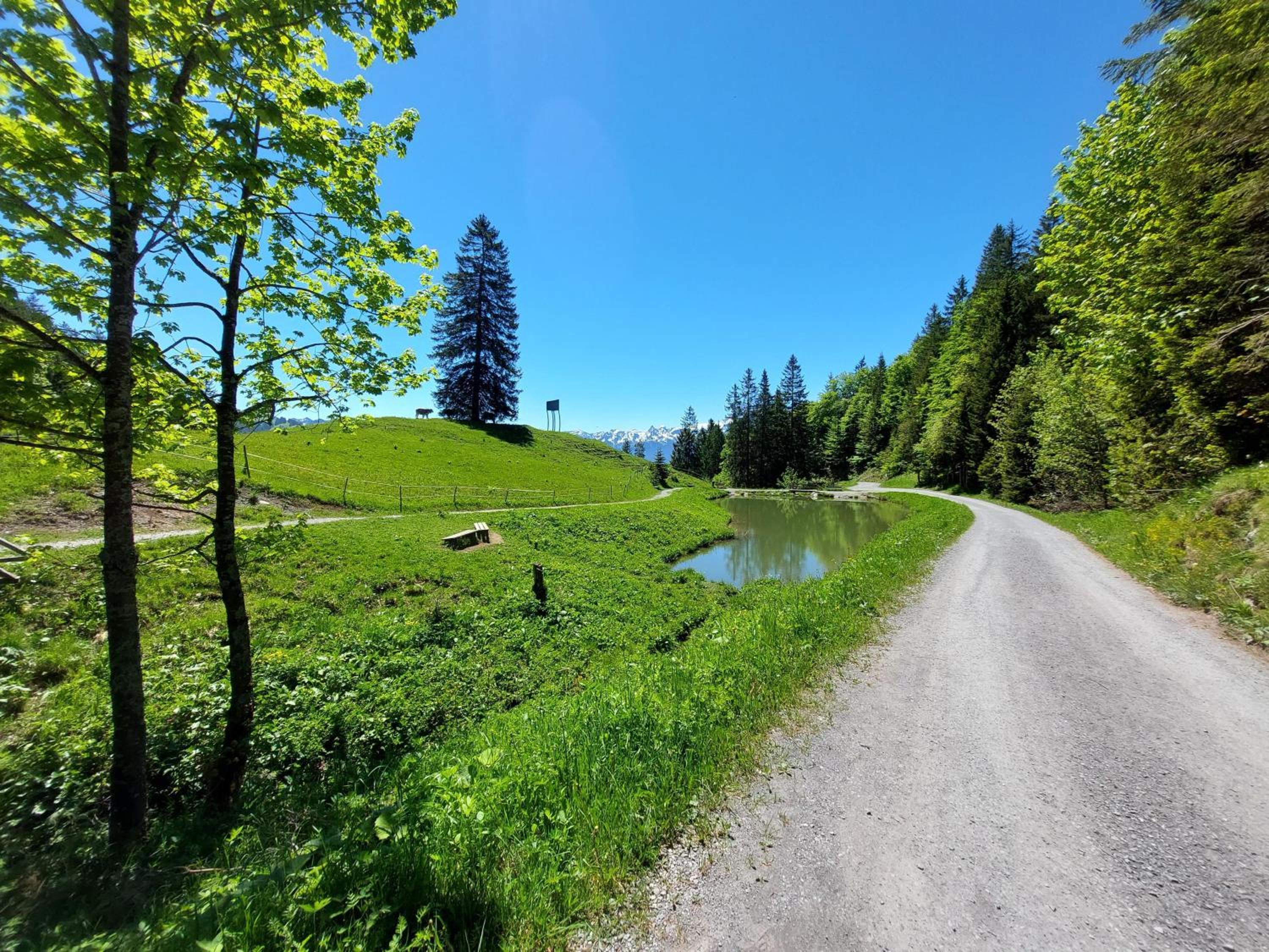 Die Bludenzerin