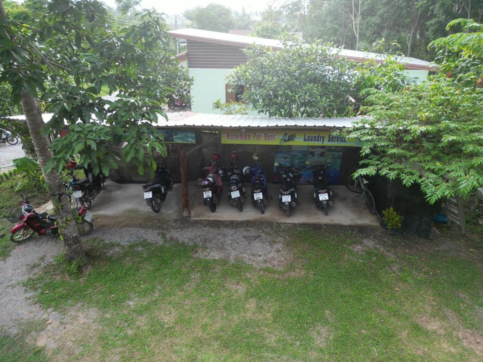 Photo 8