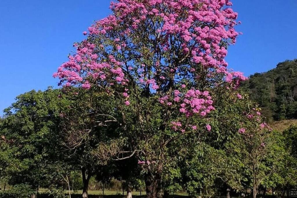 Sítio Paraíso