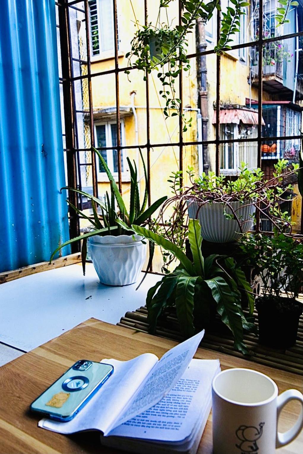 Tiny Homes- Vintage Apartments
