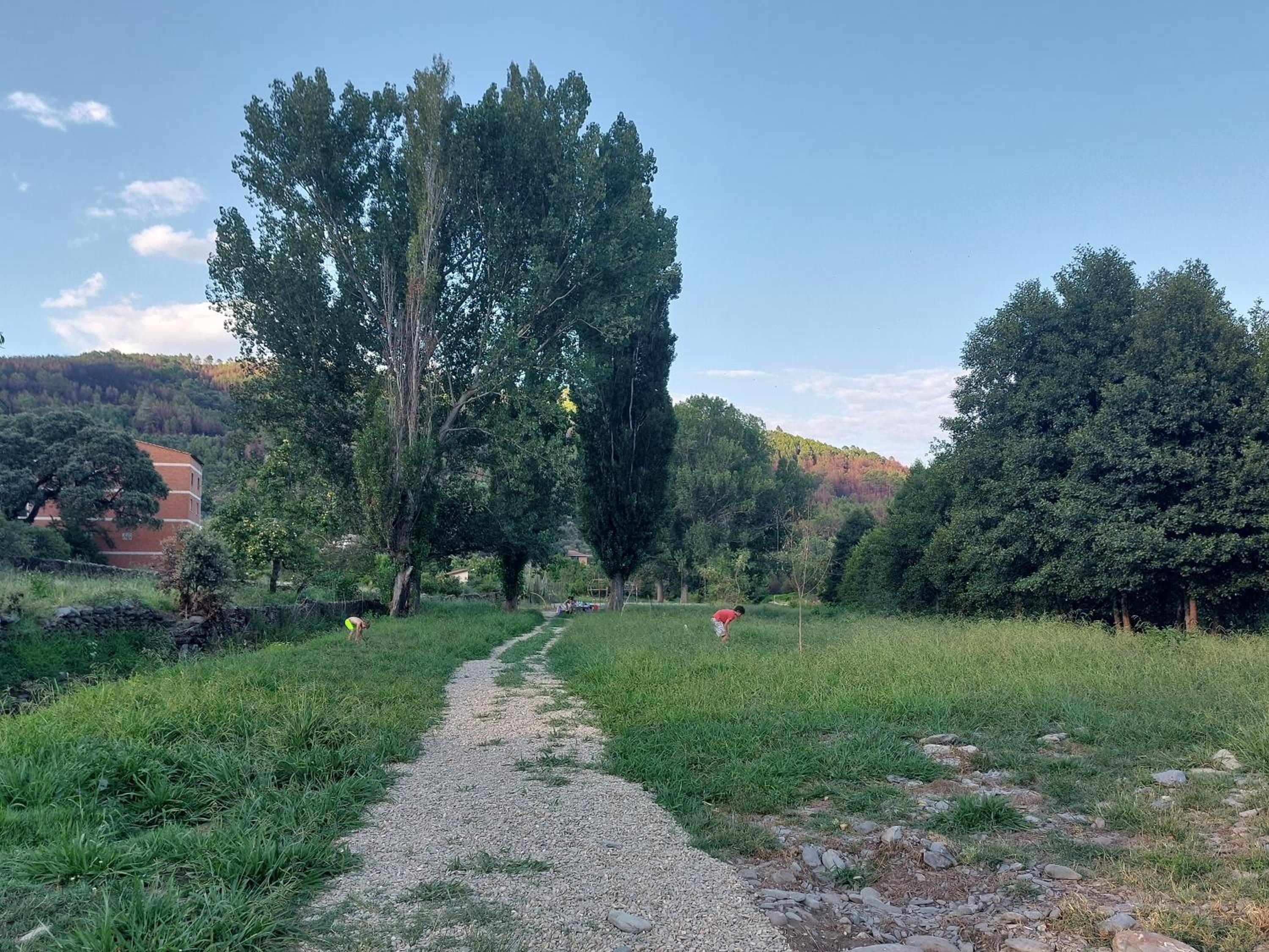 Photo 31
