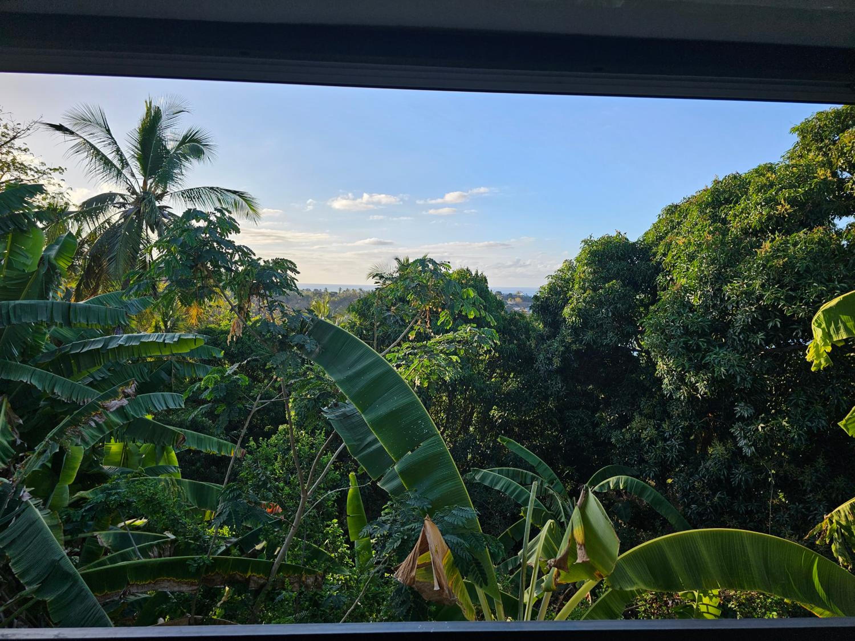 Chez les Rakoto view 3