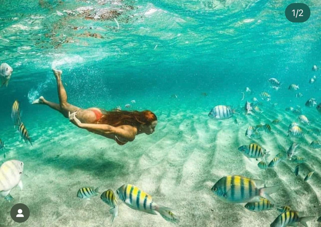 Conforto Térreo de Luxo frente a Piscina - Aloha A17