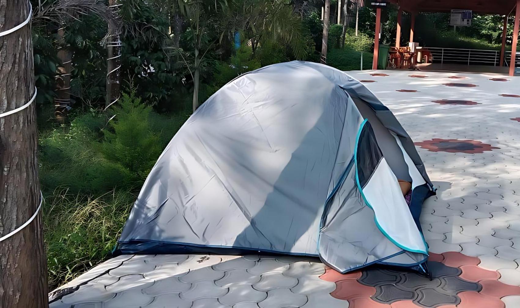 Photo 81