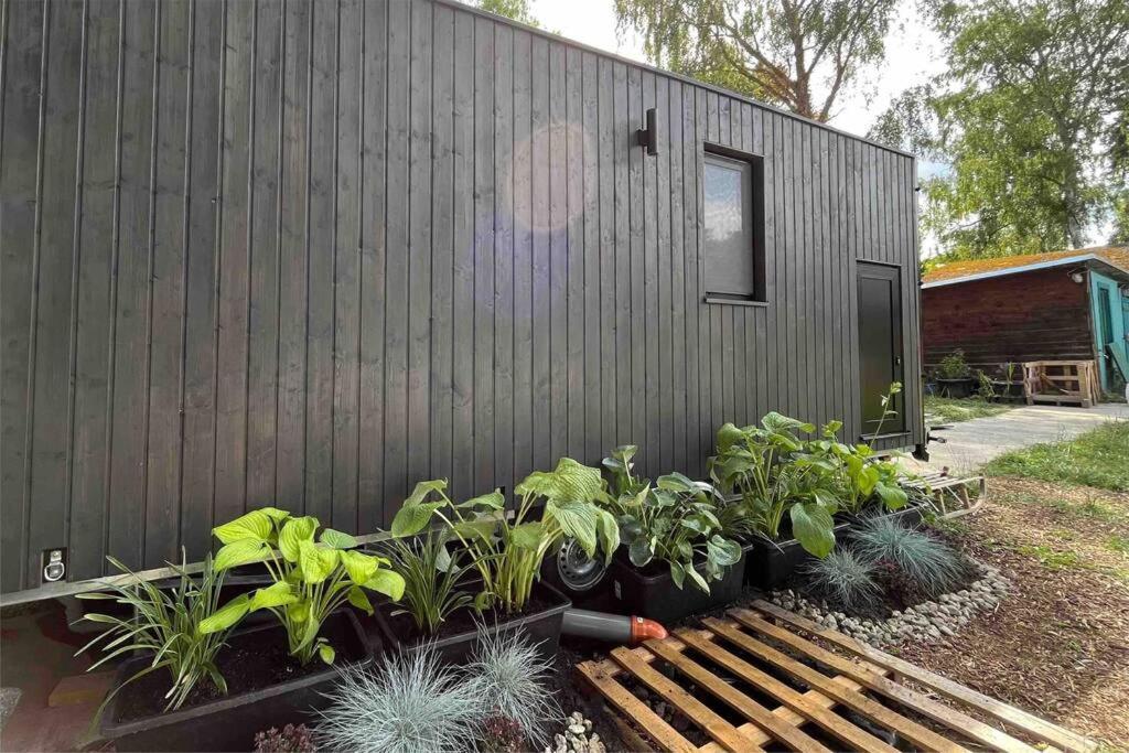 Tiny House zwischen Berlin und Potsdam