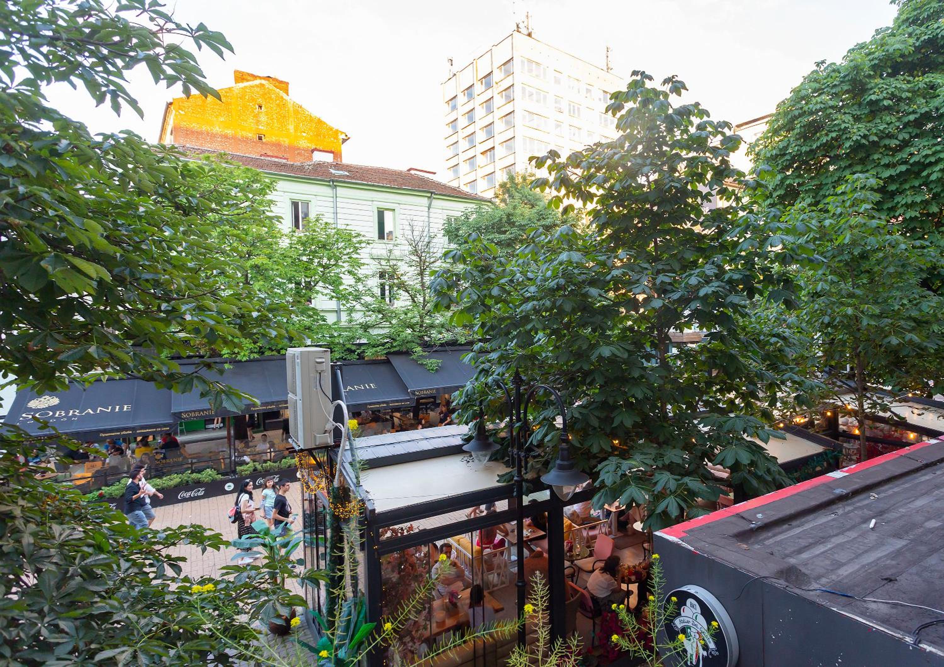 Central Vitosha Apartment