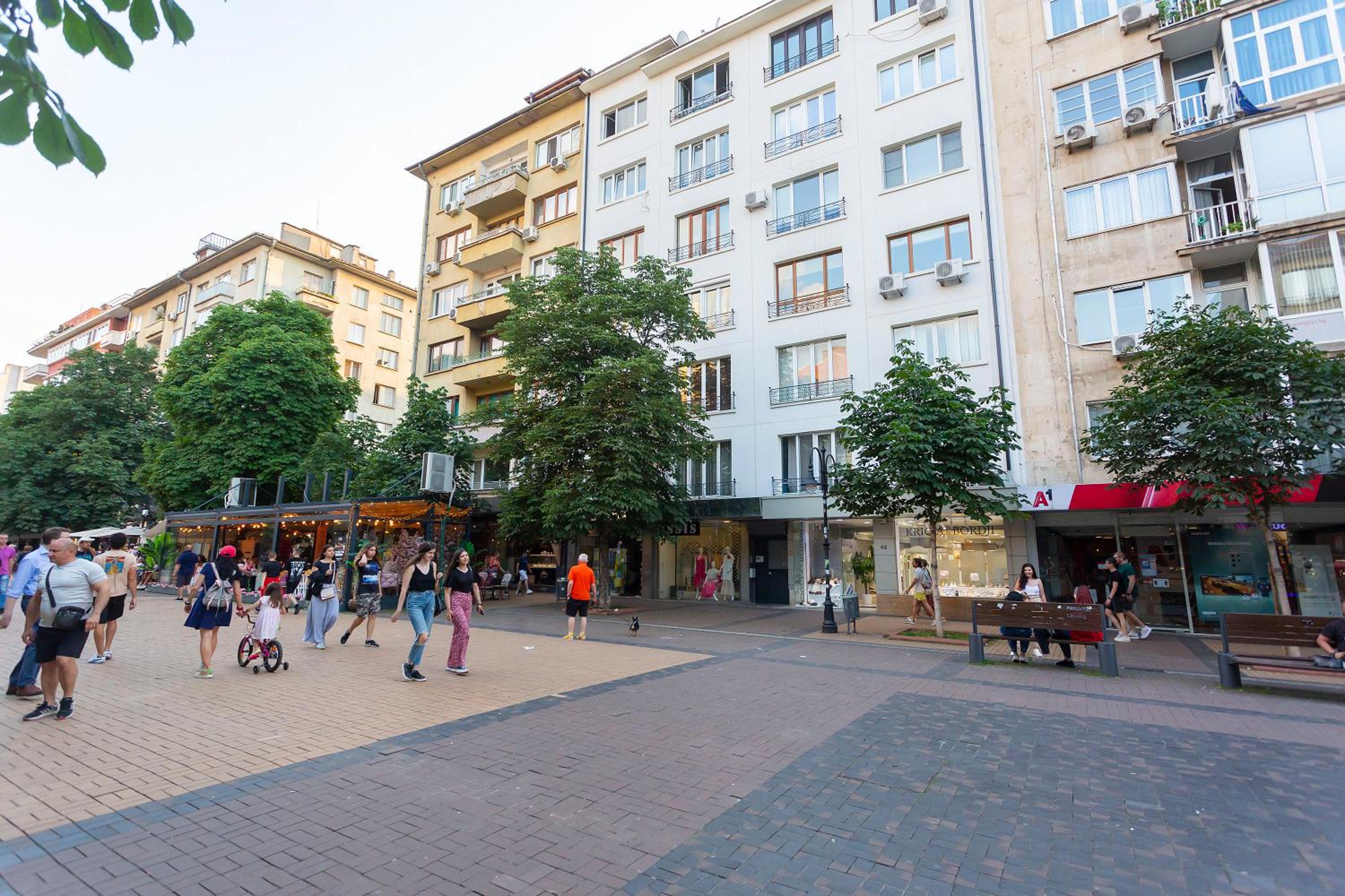 Central Vitosha Apartment
