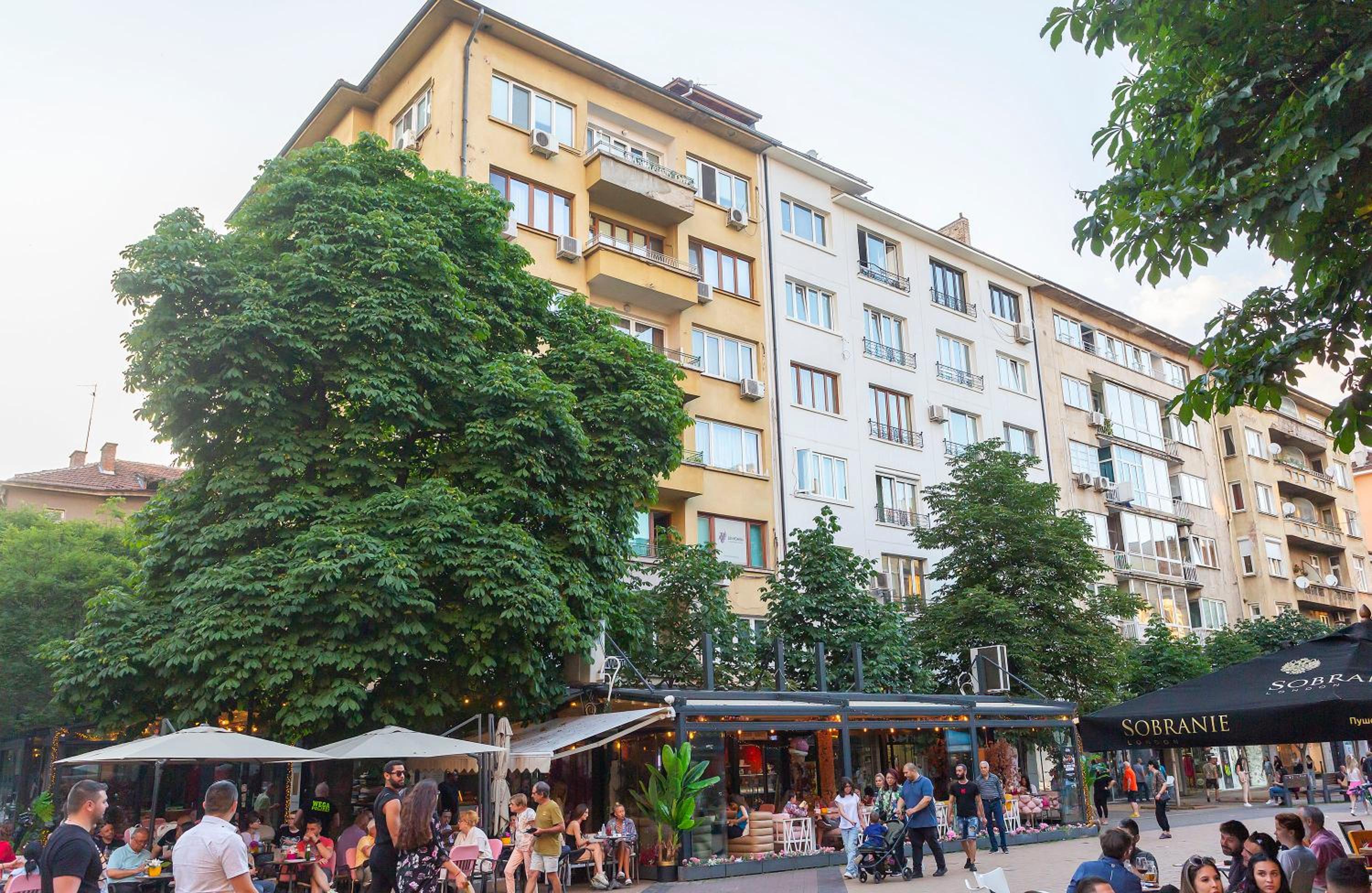 Central Vitosha Apartment