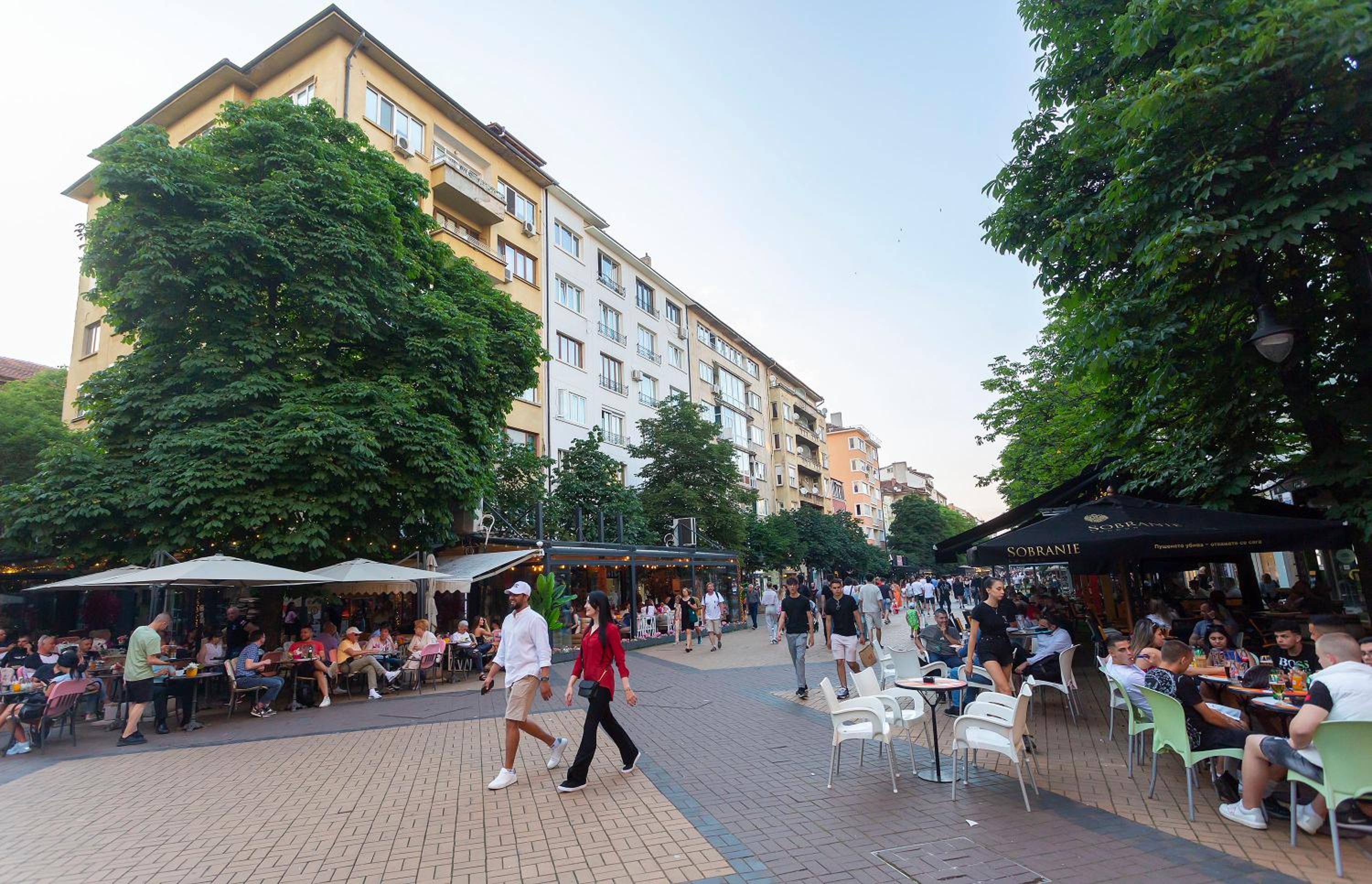 Central Vitosha Apartment