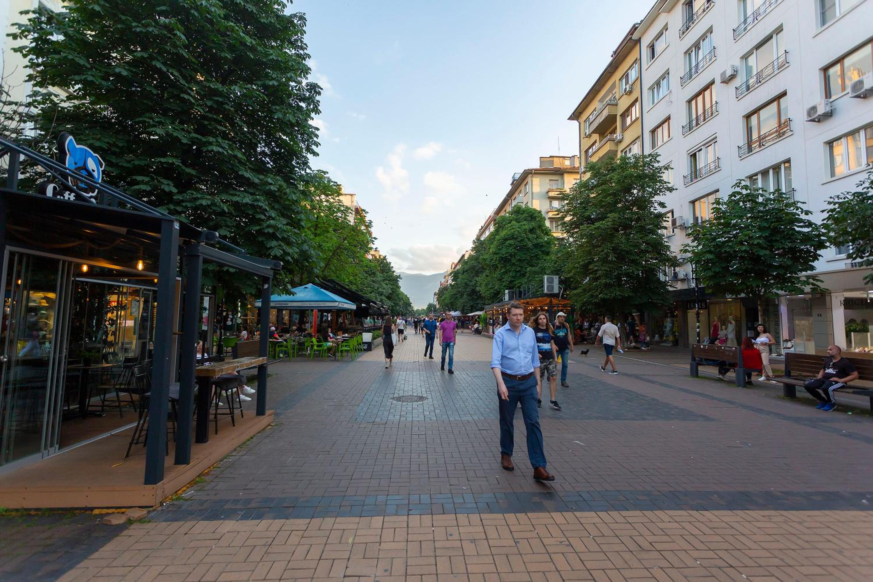 Central Vitosha Apartment