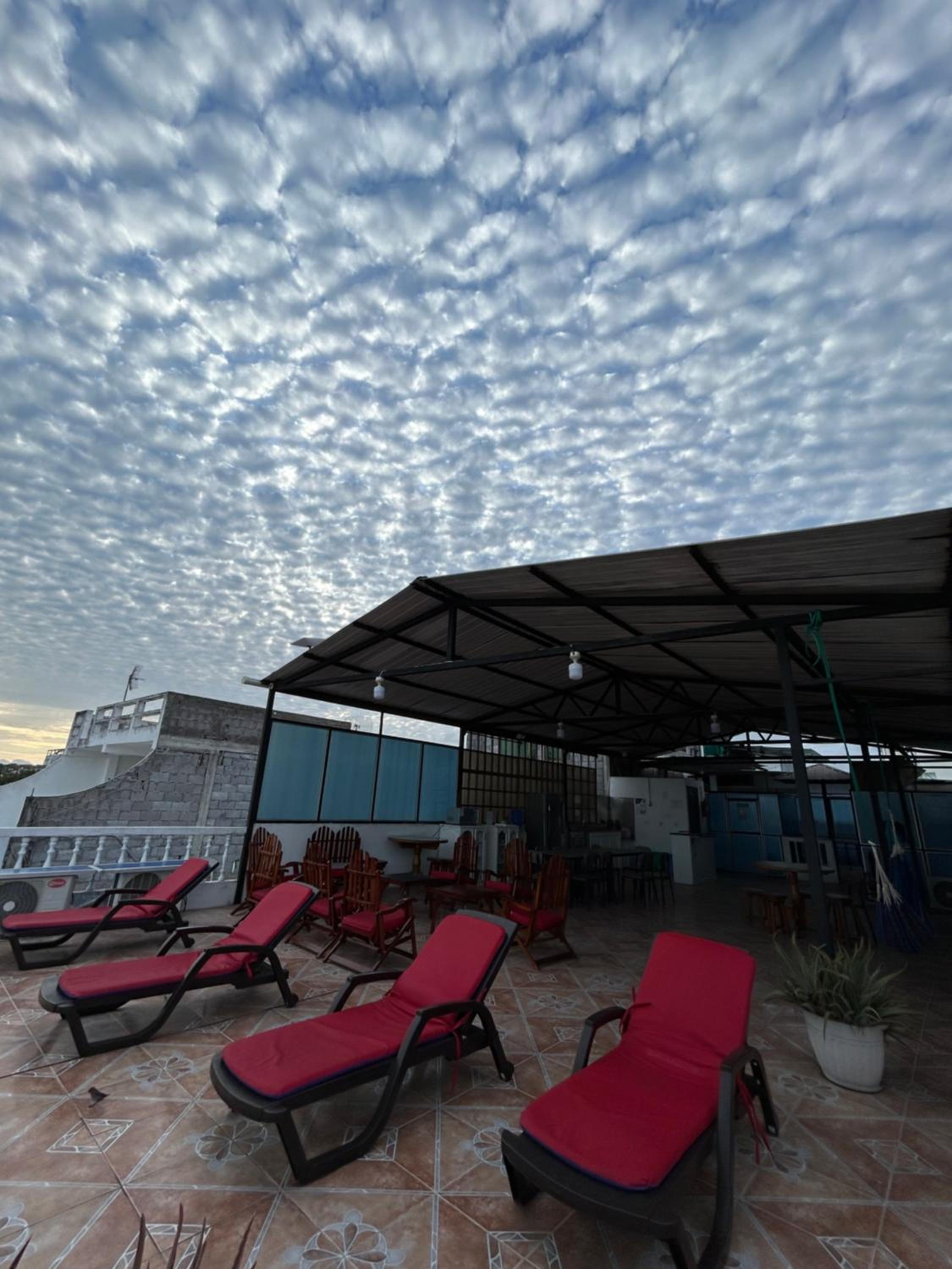 roof