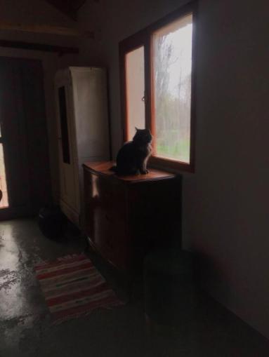 Hermosa Casa en zona de Chacras junto al Río Chubut Trelew