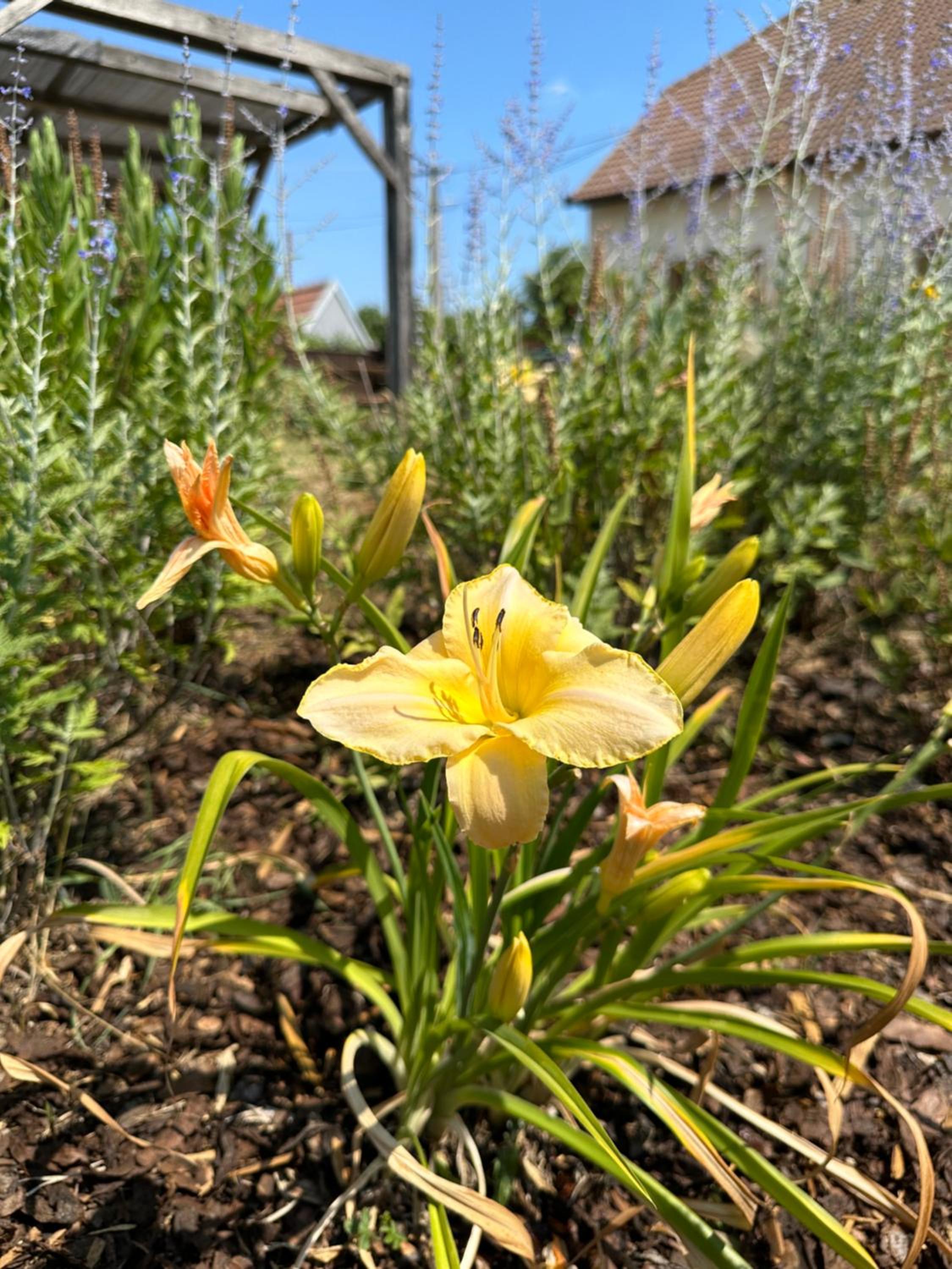 Degustarium Bavory