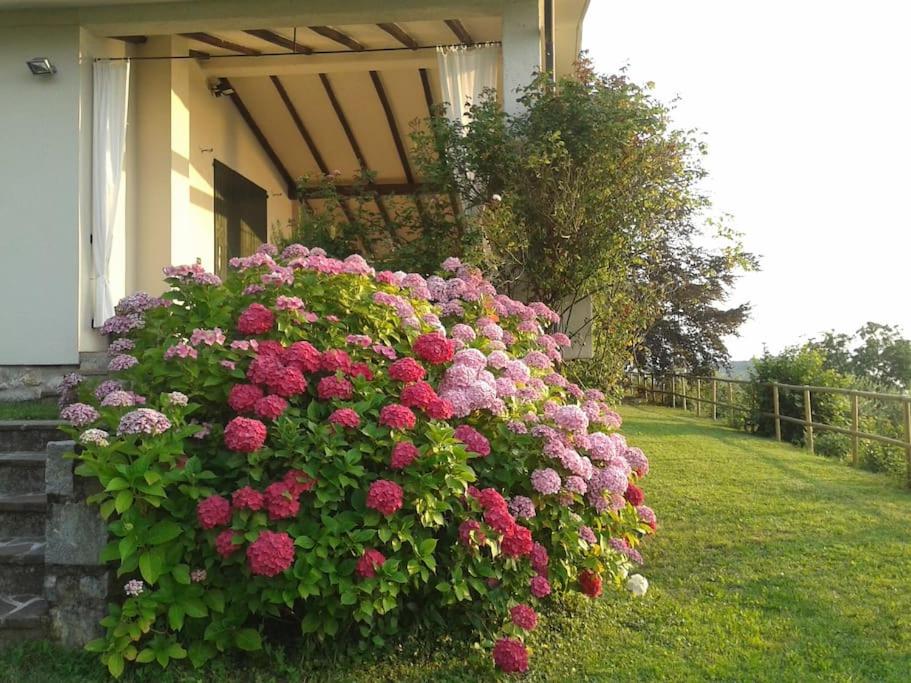 Photo 48