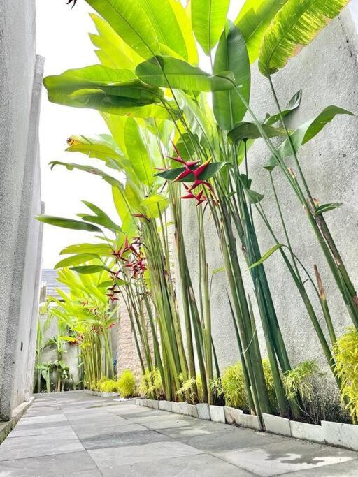 Livin Sanur Villa