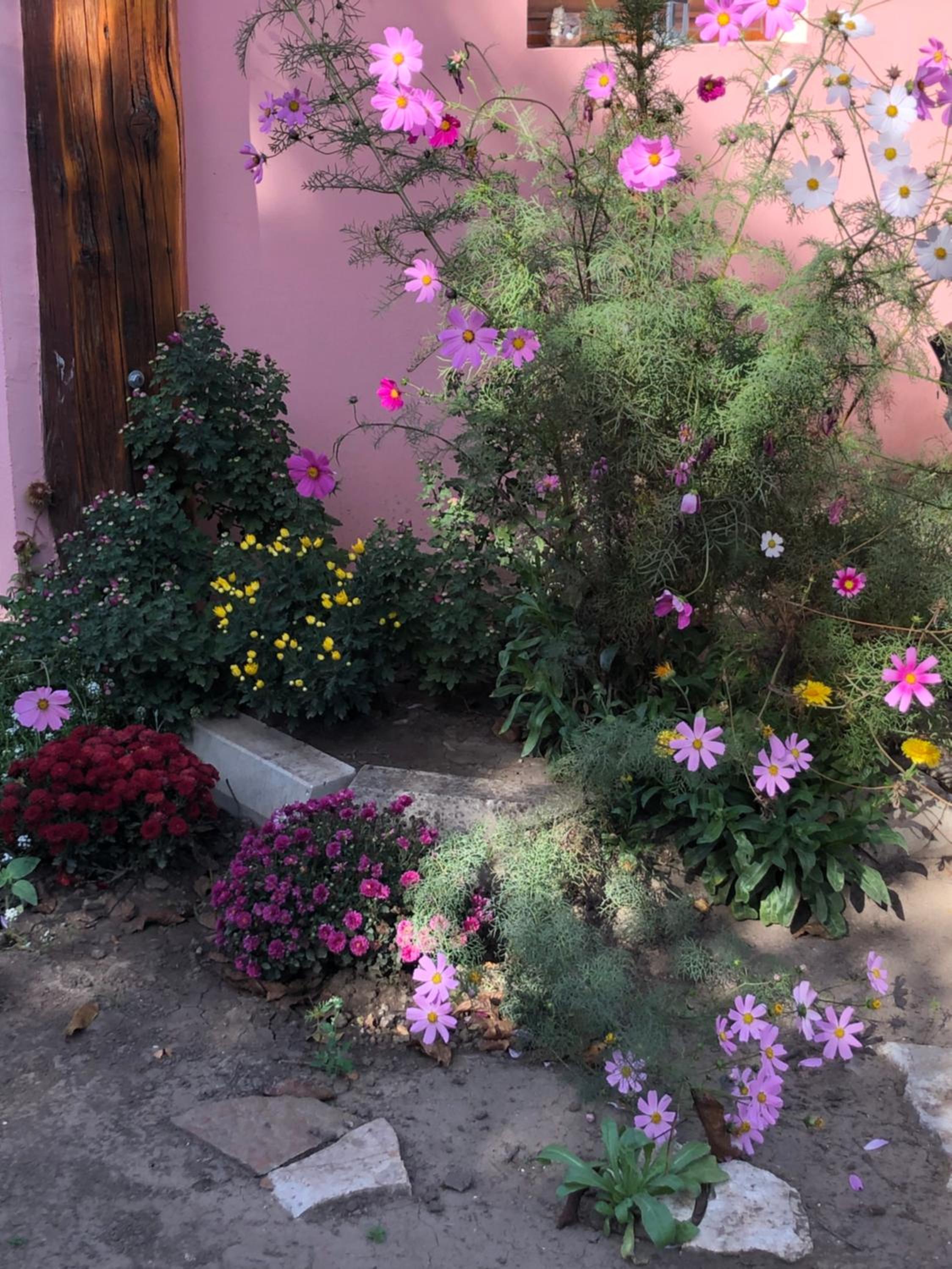 Photo 16