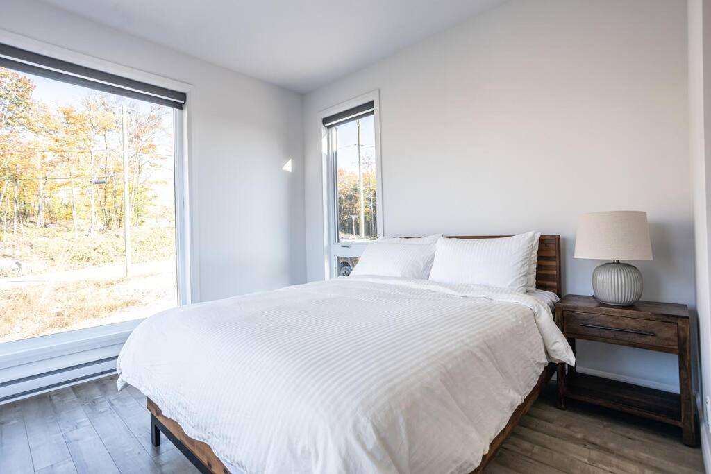 NEW Family Chalet for 12 people and Spa Mont Tremblant