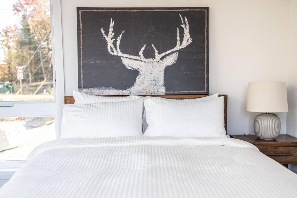 NEW Family Chalet for 12 people and Spa Mont Tremblant