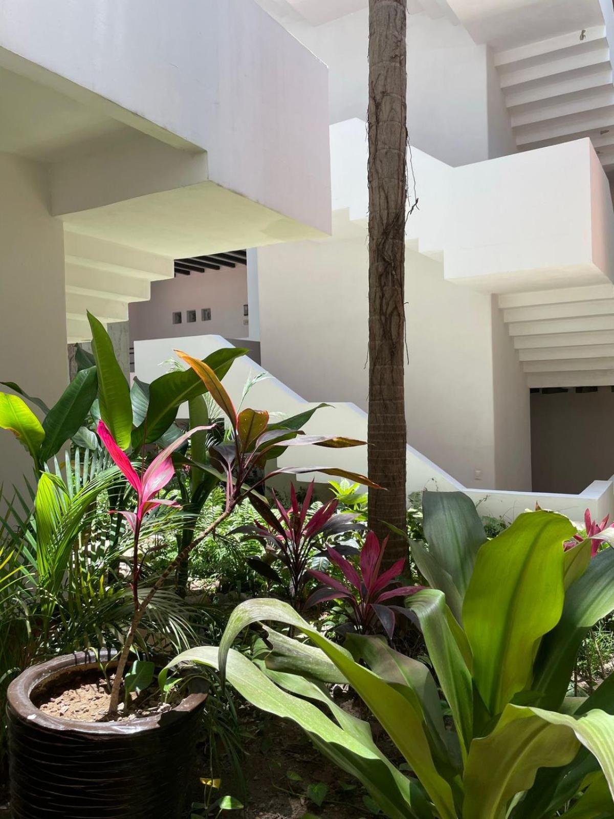 Hotel Your Luxury Oasis At Taheima