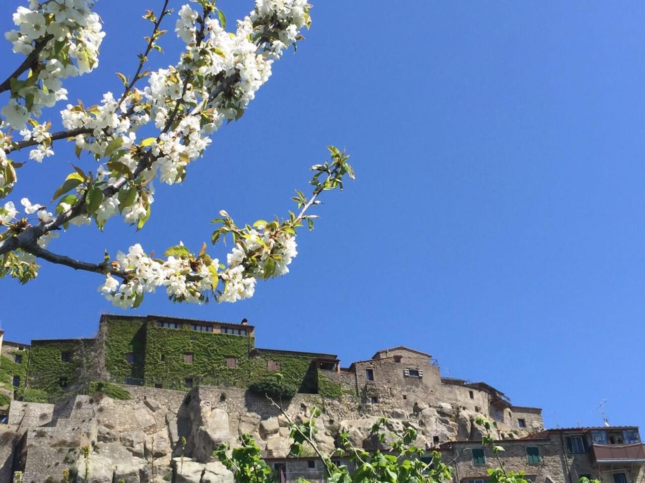 Linda's Holiday Home photo 5