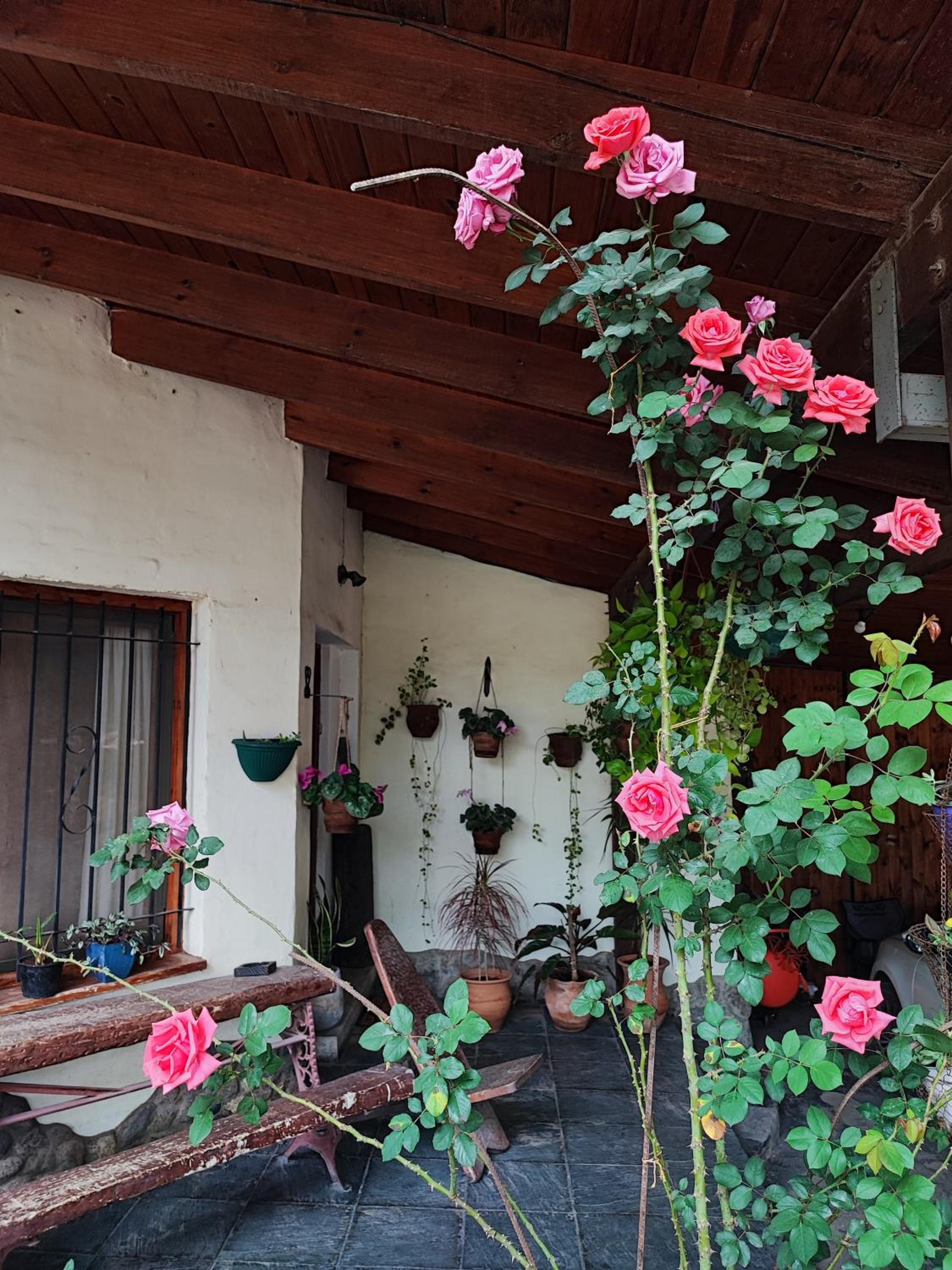 Casa del arroyo