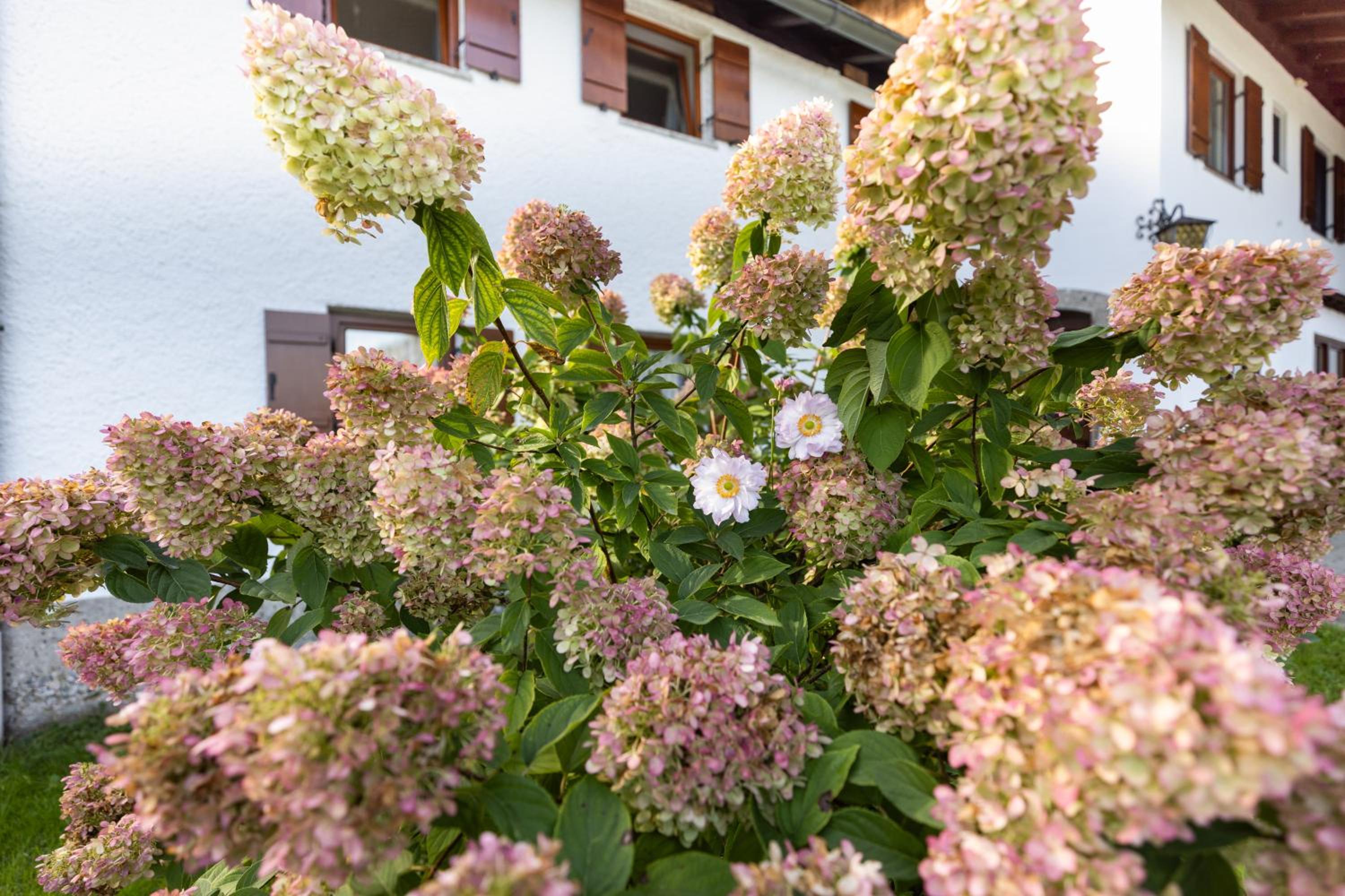 Ferienwohnung Alpenglück view 5