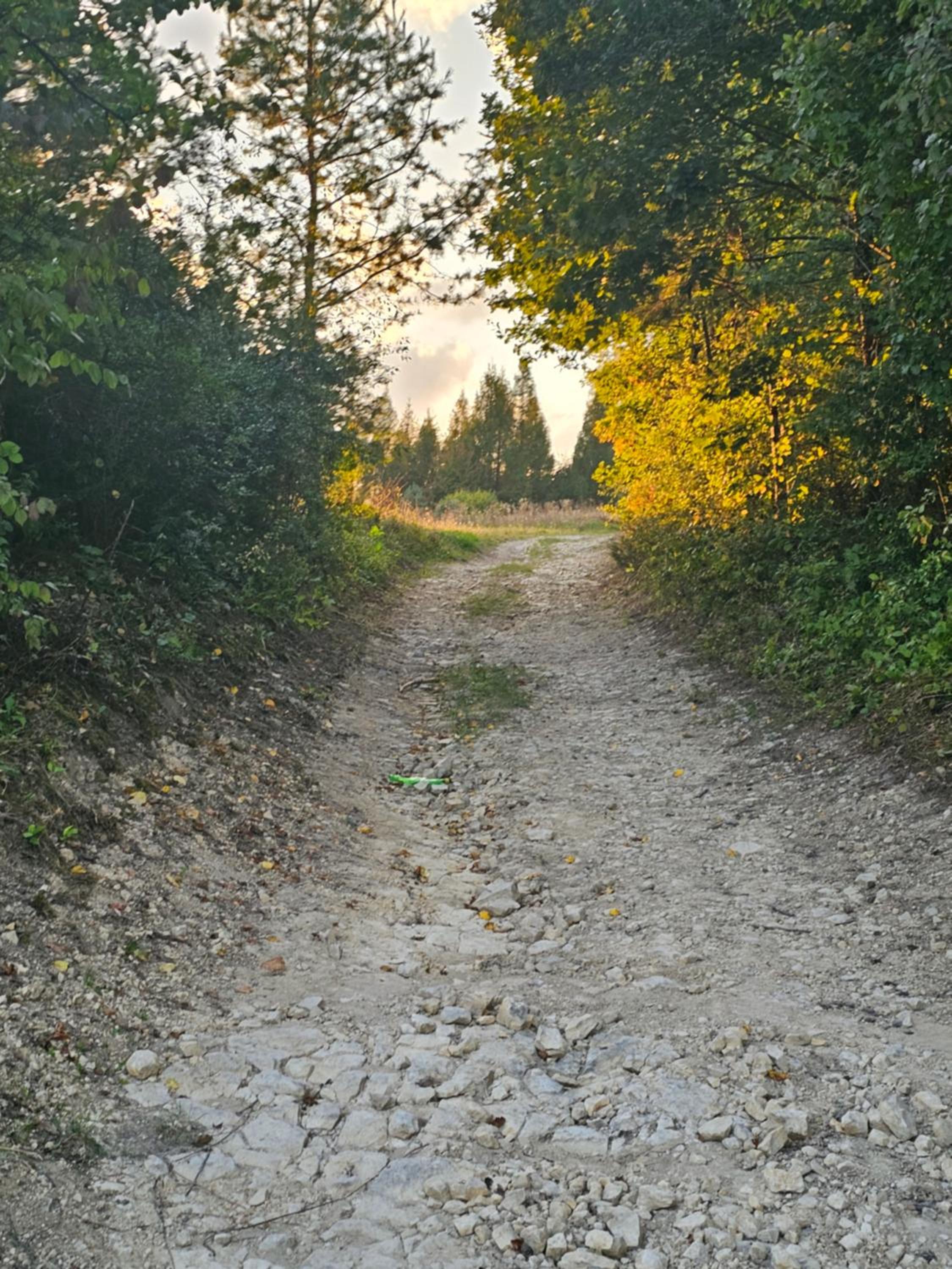Photo 26