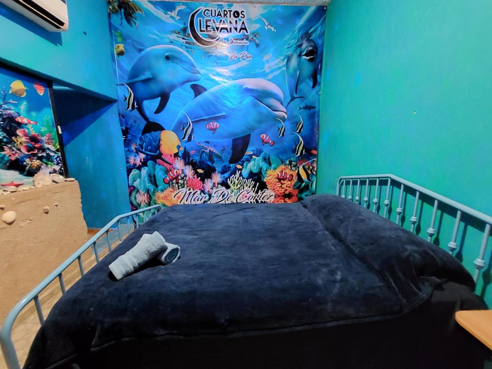 Photo 36