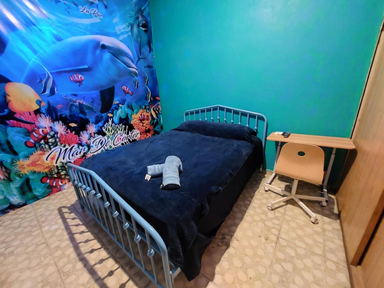 Photo 37