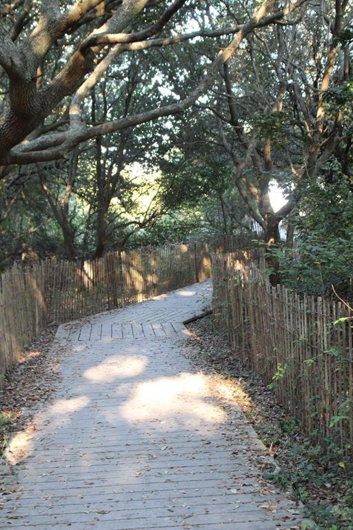 Fairbanks House with beach access just steps from your front door