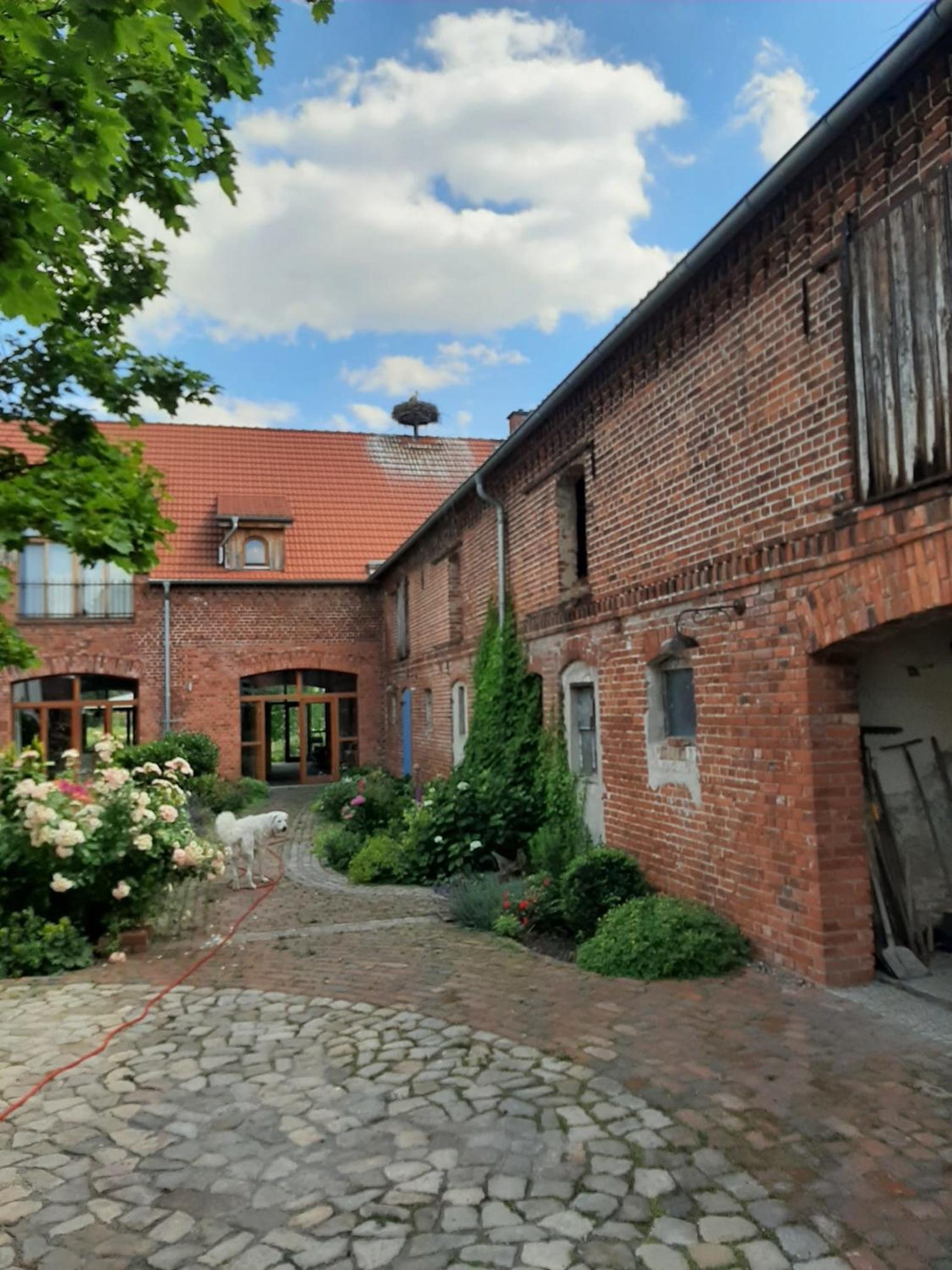 building