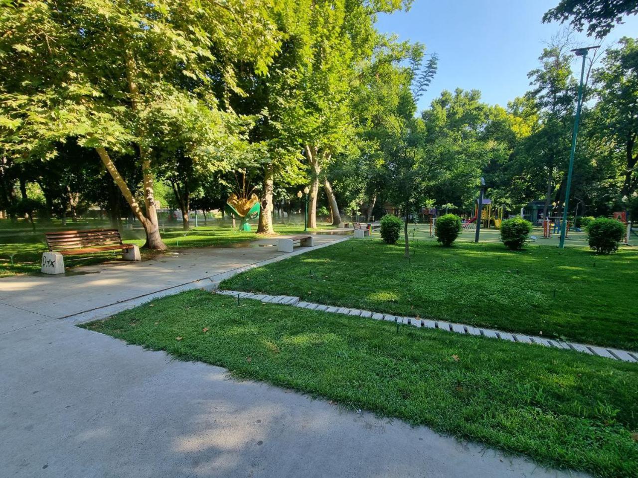 Photo 29