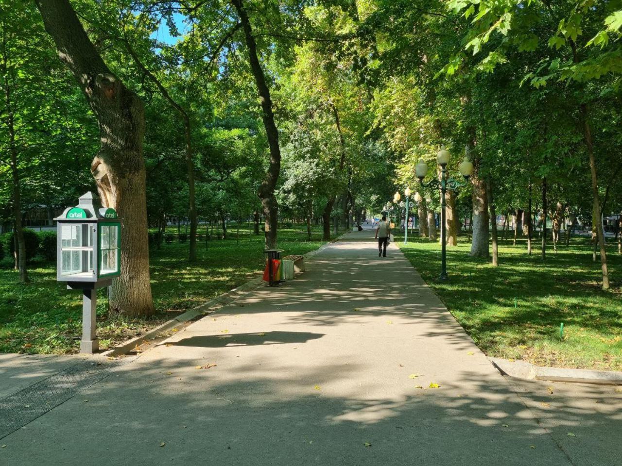 Photo 25