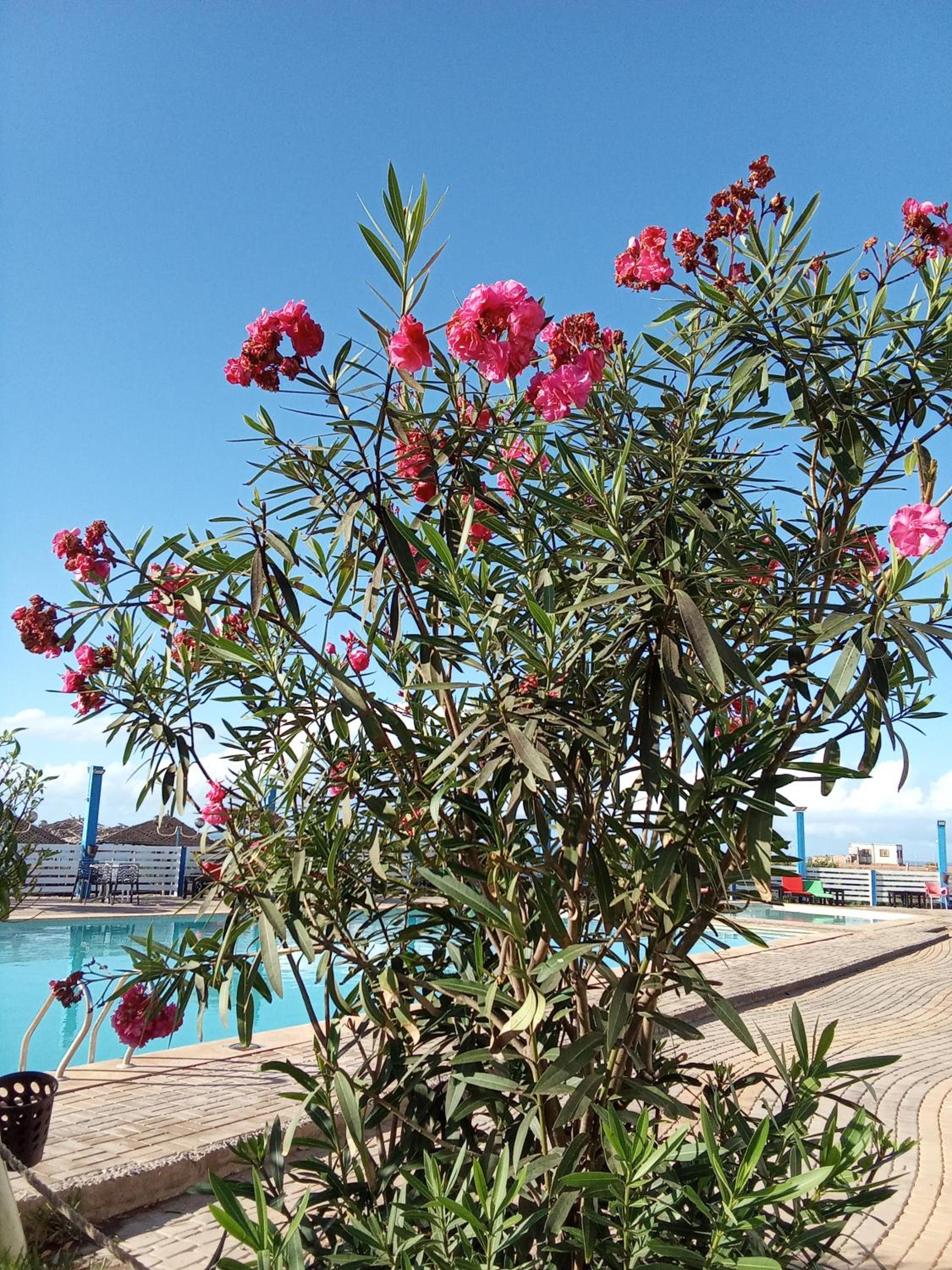 Photo 46
