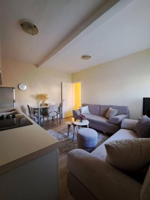 Quiet, Cozy, Luminous Apartment