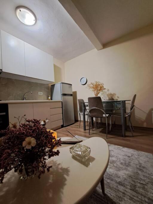 Quiet, Cozy, Luminous Apartment