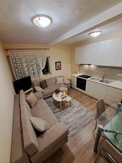 Quiet, Cozy, Luminous Apartment