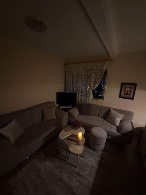 Quiet, Cozy, Luminous Apartment